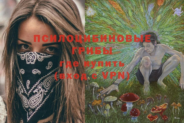 тгк Балахна
