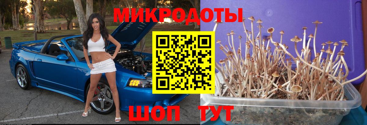 Псилоцибиновые грибы GOLDEN TEACHER Белогорск