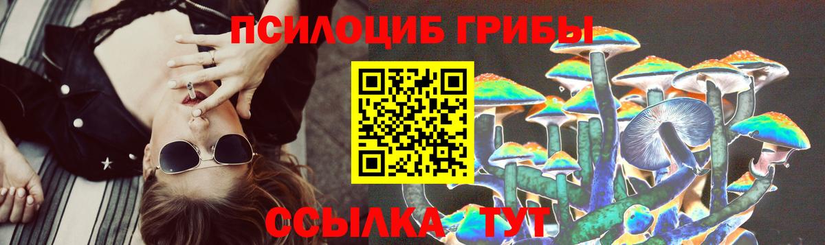 купить наркоту  Псилоцибиновые грибы Cubensis  Вход с VPN  Белогорск 